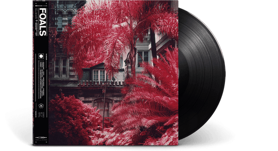 Foals : Everything Not Saved Will Be Lost