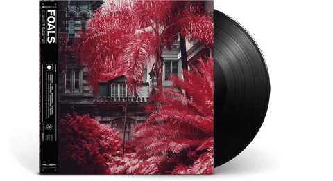 Vinyl - Foals : Everything Not Saved Will Be Lost - The Record Hub