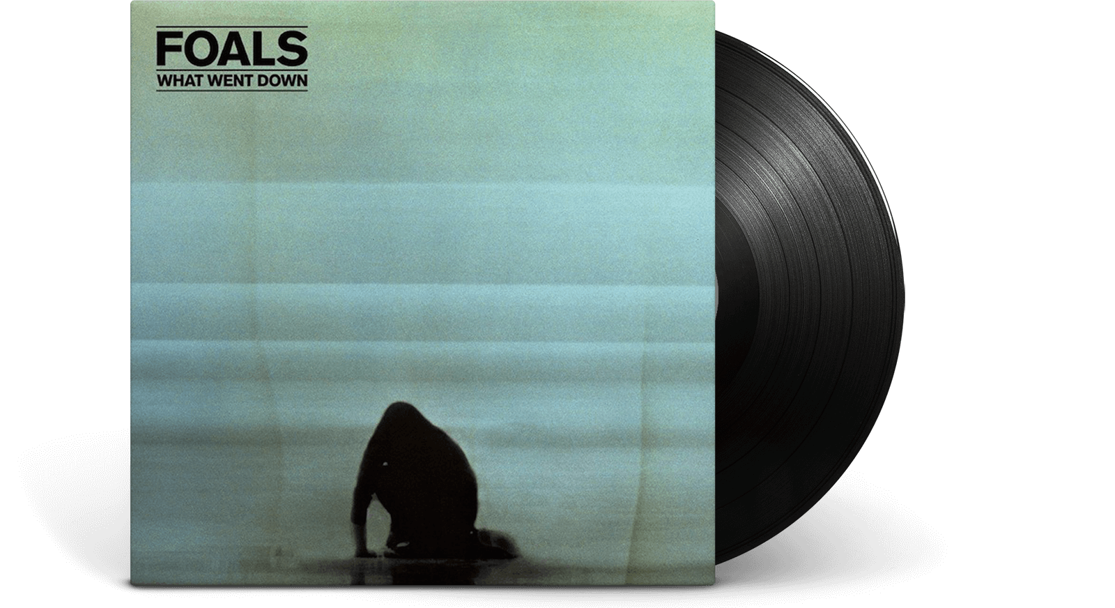Vinyl - Foals : What Went Down - The Record Hub