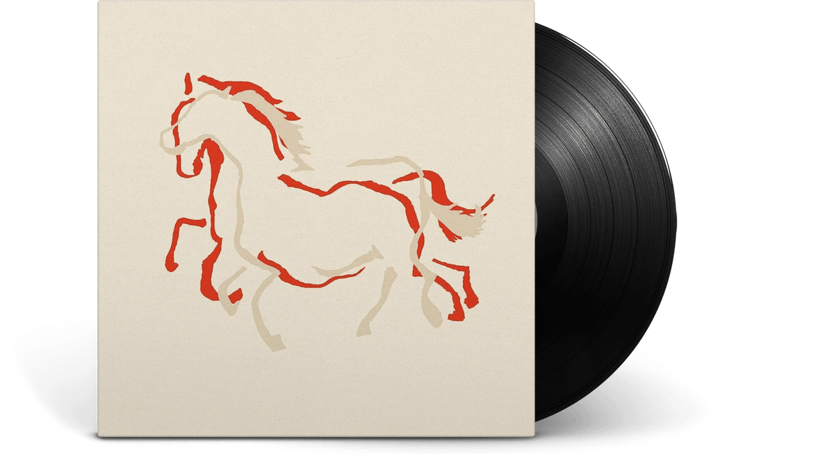 Vinyl - Giant Swan : Do Not Be Afraid Of Tenderness - The Record Hub