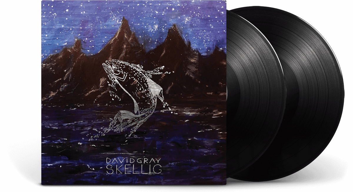 Vinyl - David Gray : Skellig - The Record Hub