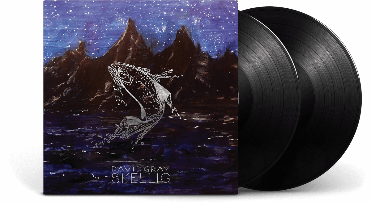 Vinyl - David Gray : Skellig - The Record Hub
