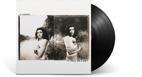 PJ Harvey : Is This Desire?