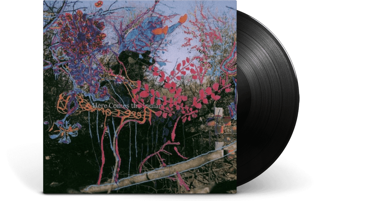 Vinyl - Animal Collective : Here Comes The Indian - The Record Hub