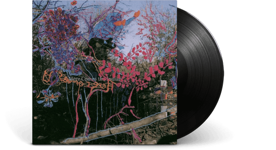 Animal Collective : Here Comes The Indian