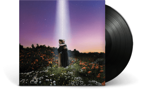 Honne : What Would You Do?