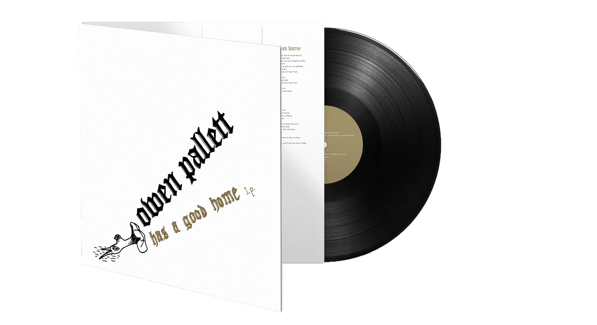 Vinyl - Owen Pallett : Has A Good Home - The Record Hub