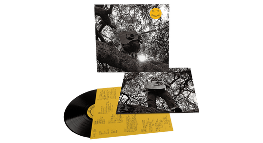 Ty Segall : Hello, Hi