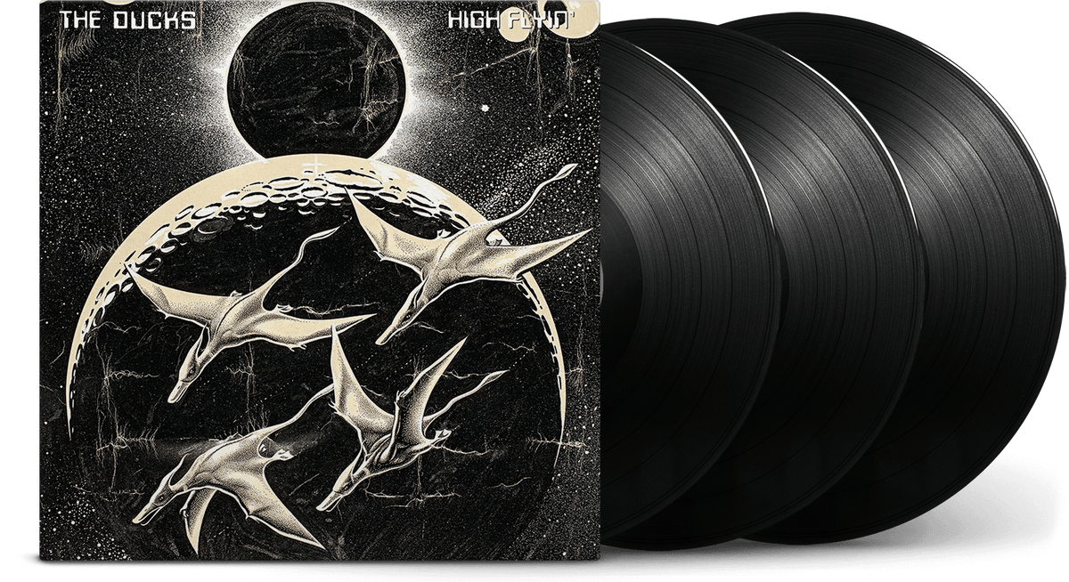 Vinyl - The Ducks : High Flyin&#39; - The Record Hub