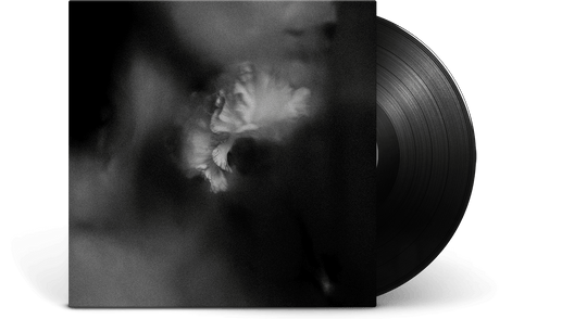 Holding Absence : Holding Absence