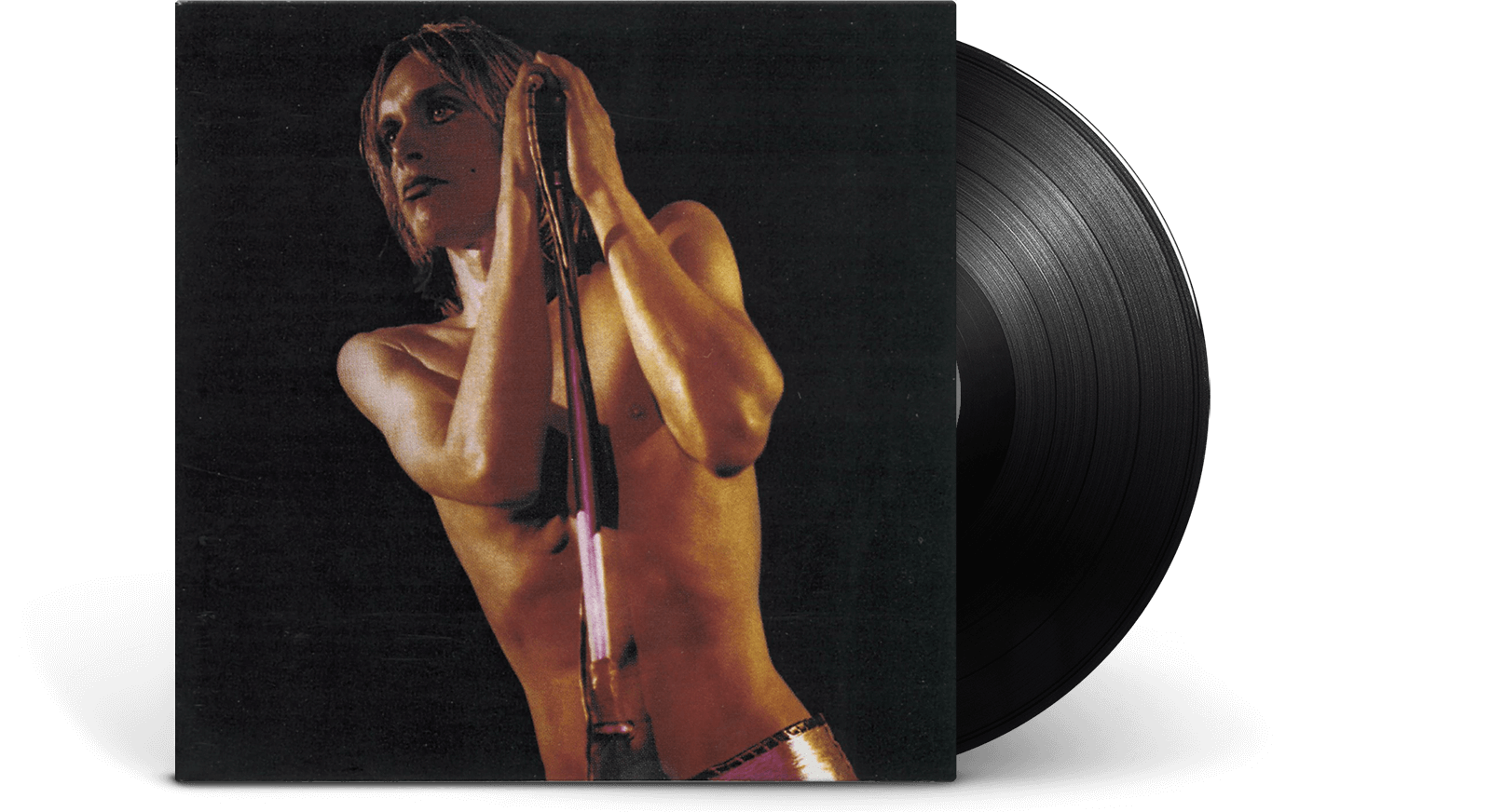 Vinyl - Iggy & the Stooges : Raw Power - The Record Hub