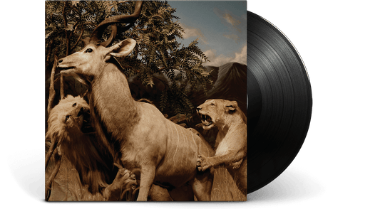 Interpol : Our Love To Admire