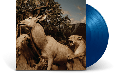 Interpol : Our Love To Admire (Ltd Sky Blue Vinyl)