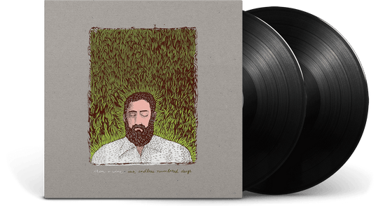 Iron & Wine : Our Endless Numbered Days