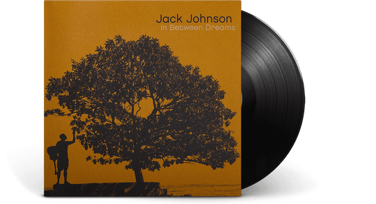 Jack Johnson : In Between Dreams