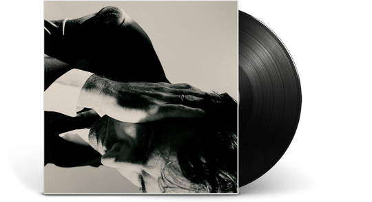 Andrew Bird : Inside Problems