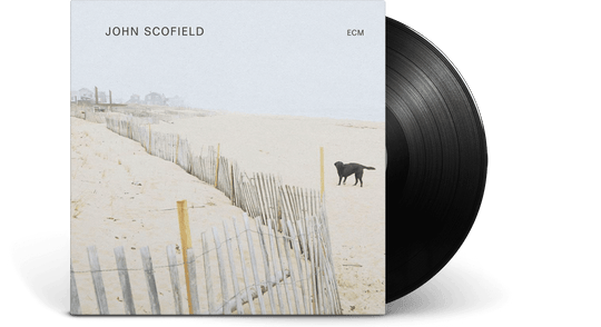 John Scofield : John Scofield