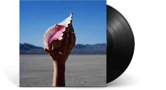 The Killers : Wonderful Wonderful