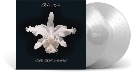 Kings Of Leon : Aha Shake Heartbreak