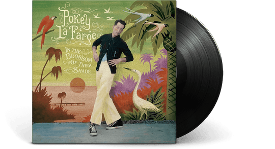 Pokey LaFarge : In The Blossom of Their Shade