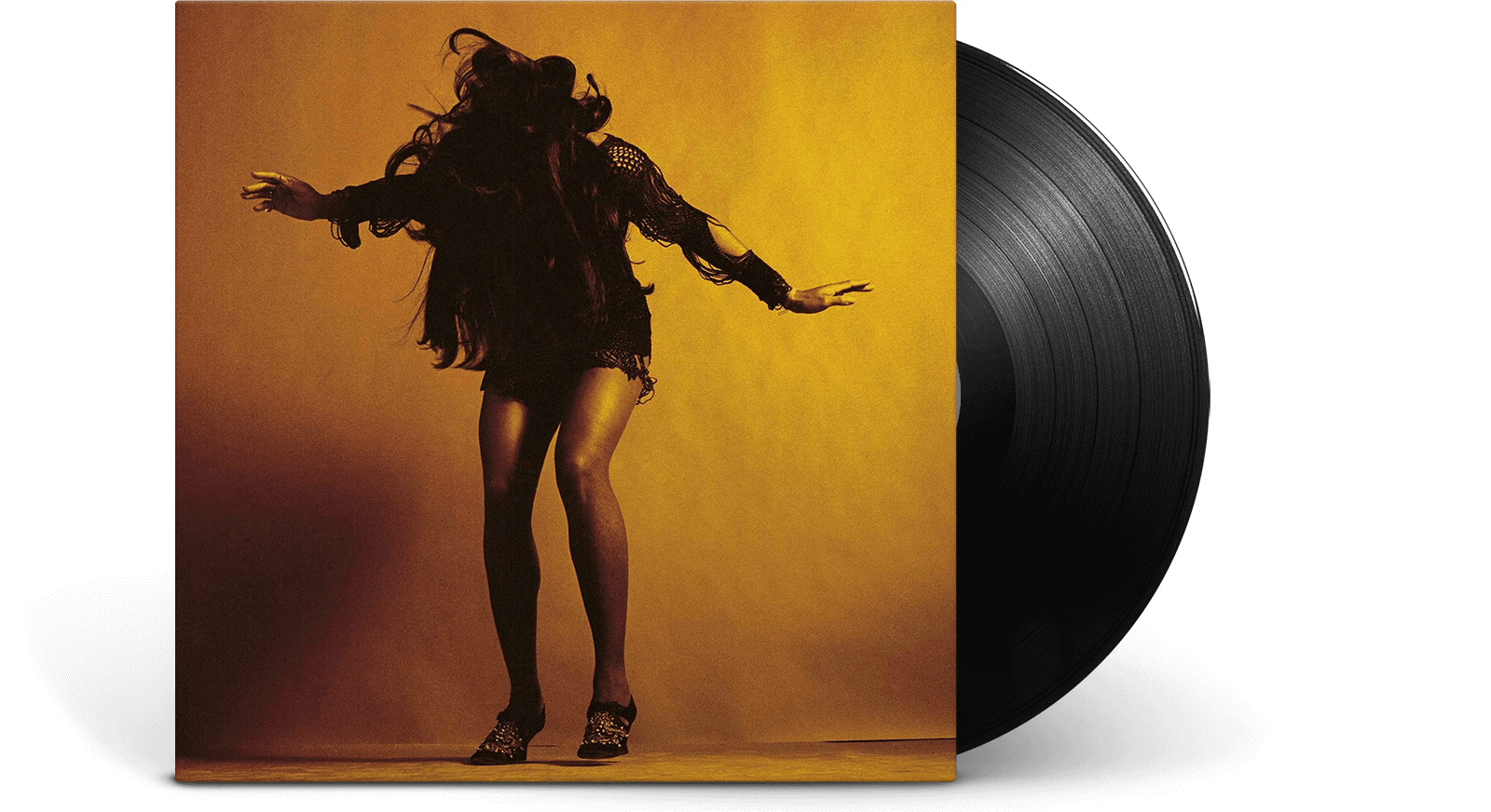 Vinyl - The Last Shadow Puppets : Everything You’ve Come To Expect - The Record Hub