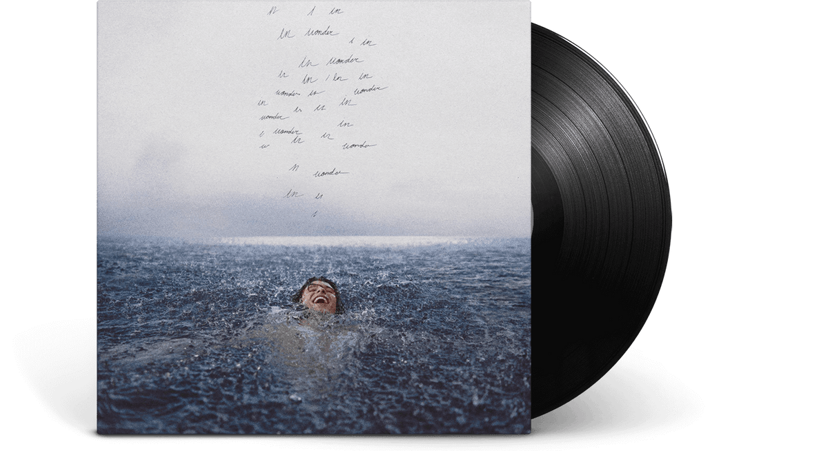 Vinyl - Shawn Mendes : Wonder - The Record Hub