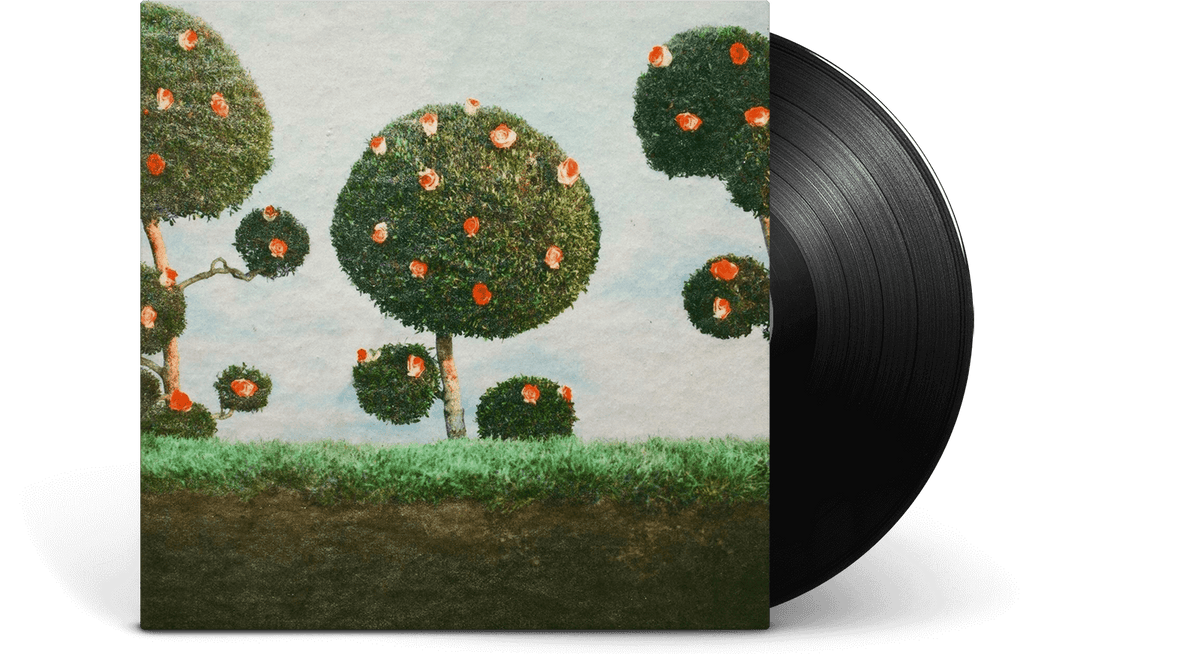 Vinyl - Midnight Sister : Painting the Roses - The Record Hub