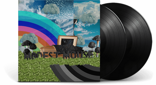 Modest Mouse : The Golden Casket