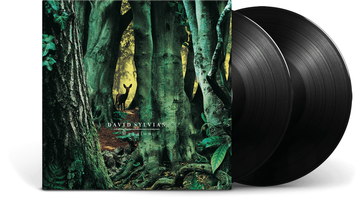 Vinyl - David Sylvian : Manafon - The Record Hub