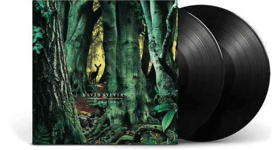 David Sylvian : Manafon