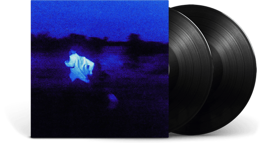 Daniel Caesar : NEVER ENOUGH