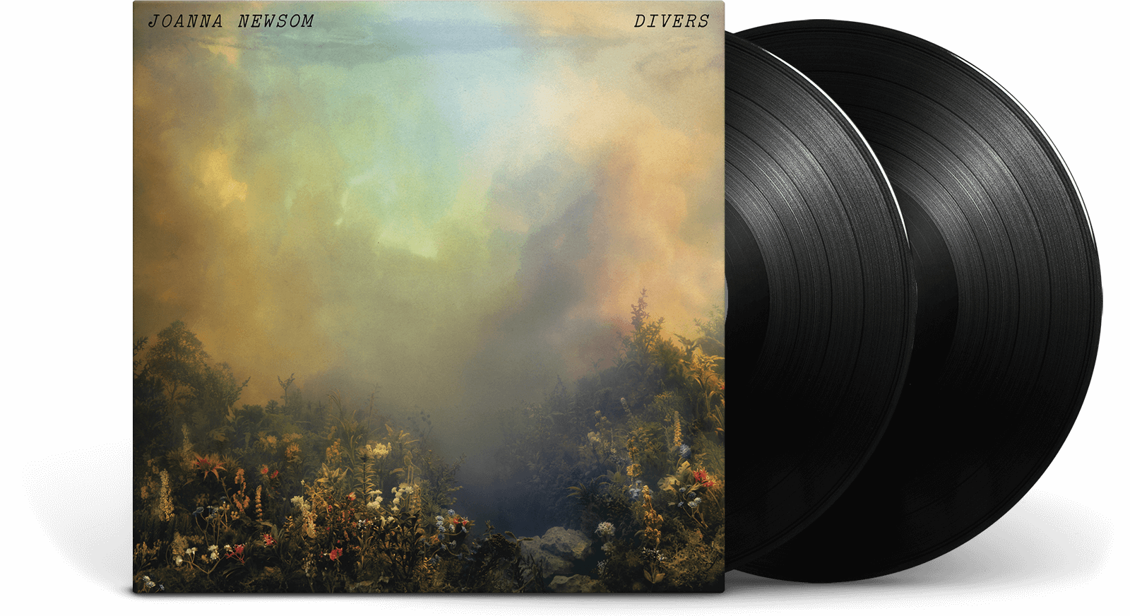 Vinyl - JOANNA Newsom : Divers - The Record Hub