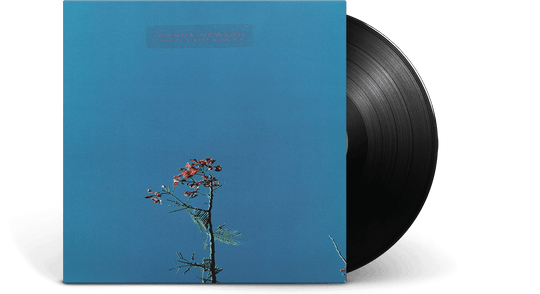 JOANNA NEWSOM : AND THE YS STREET BAND