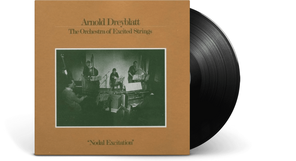 Vinyl - Arnold Dreyblatt : Nodal Excitations - The Record Hub