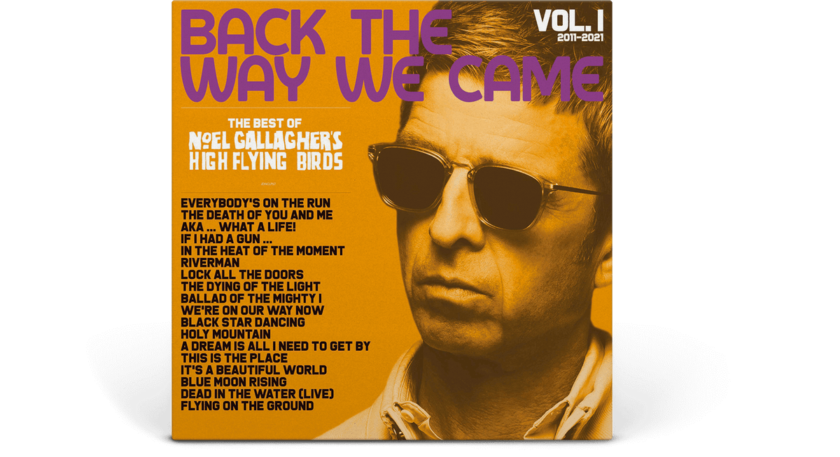 Vinyl - Noel Gallagher&#39;s High Flying Birds : Back The Way We Came Vol. 1: 2011-2021 (Ltd Picture Disc) - The Record Hub