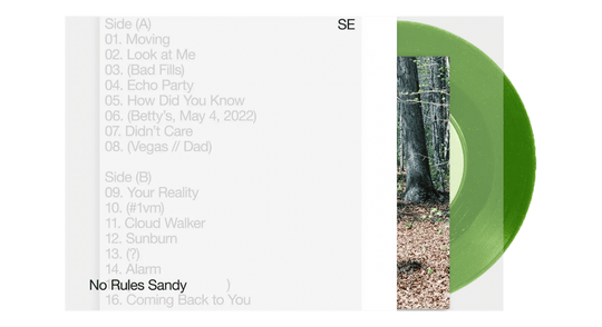 Sylvan Esso : No Rules Sandy