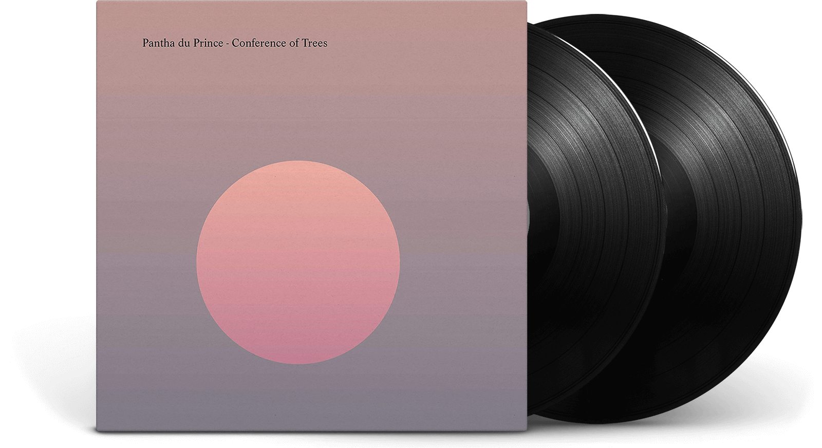 Vinyl - Pantha du Prince : Conference of Trees - The Record Hub