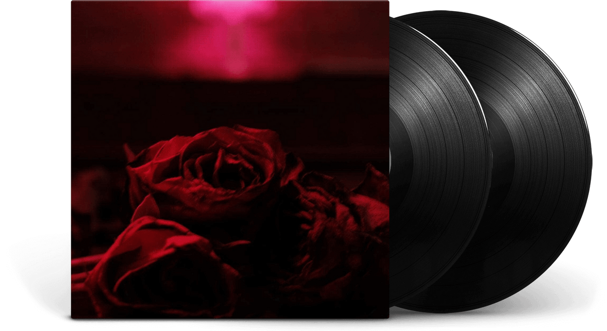 Vinyl - The Paper Kites : Roses - The Record Hub