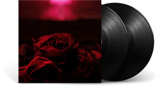 The Paper Kites : Roses