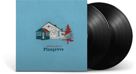 Pinegrove : Amperland, NY
