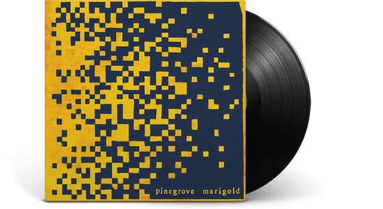 Pinegrove : Marigold