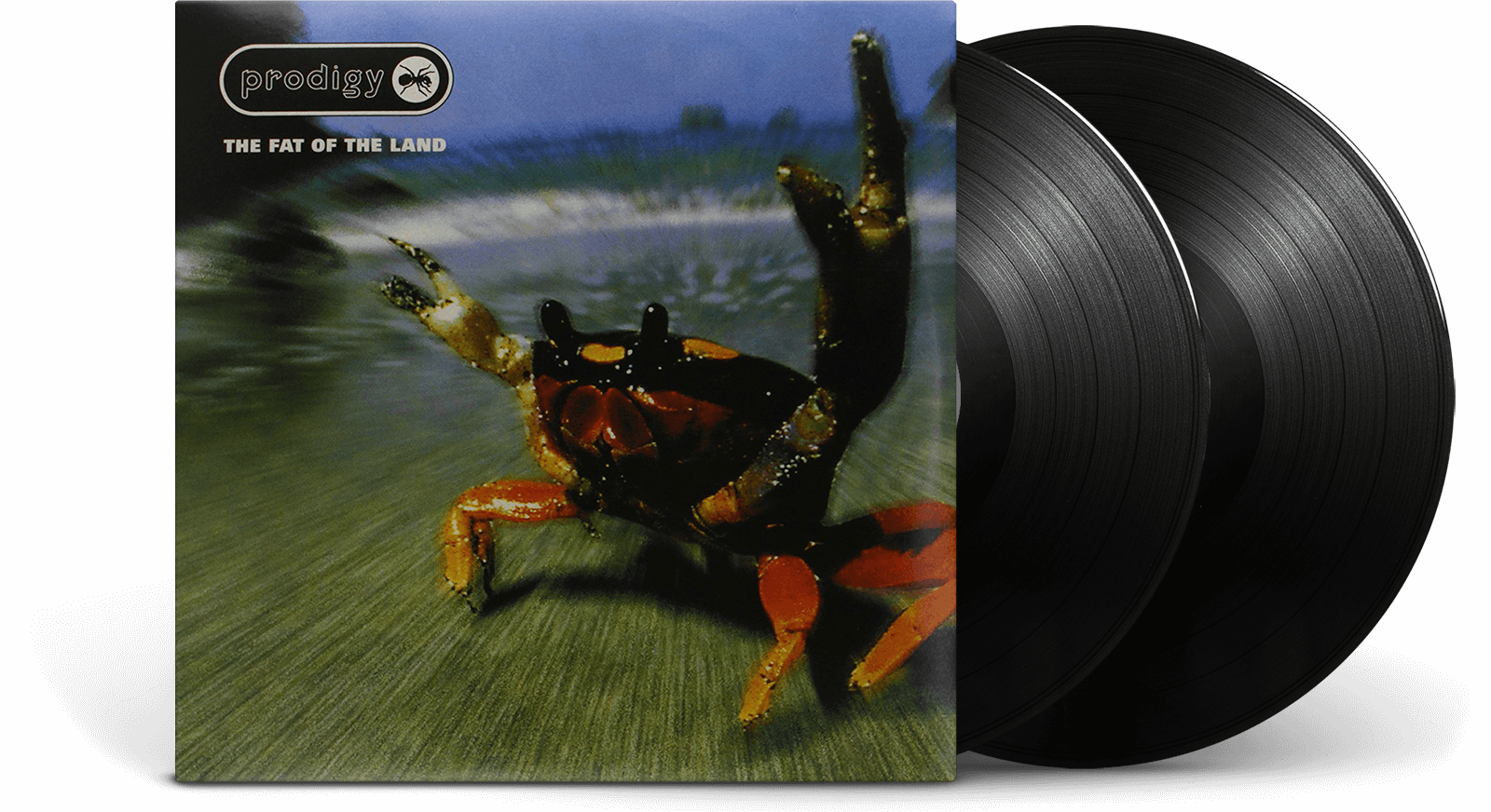 Vinyl | The Fat of the Land | The Prodigy