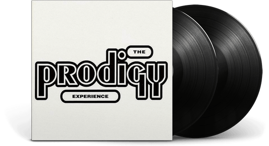 The Prodigy : Experience