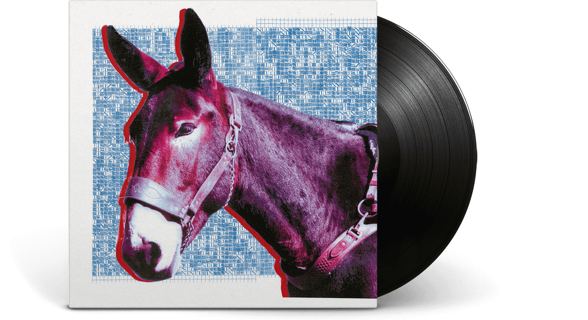 Vinyl - ProtoMartyr : Ultimate Success Today - The Record Hub