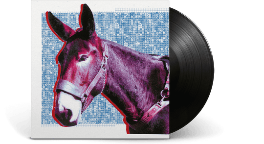 ProtoMartyr : Ultimate Success Today