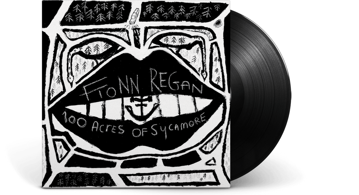 Vinyl - Fionn Regan : 100 Acres Of Sycamore - The Record Hub