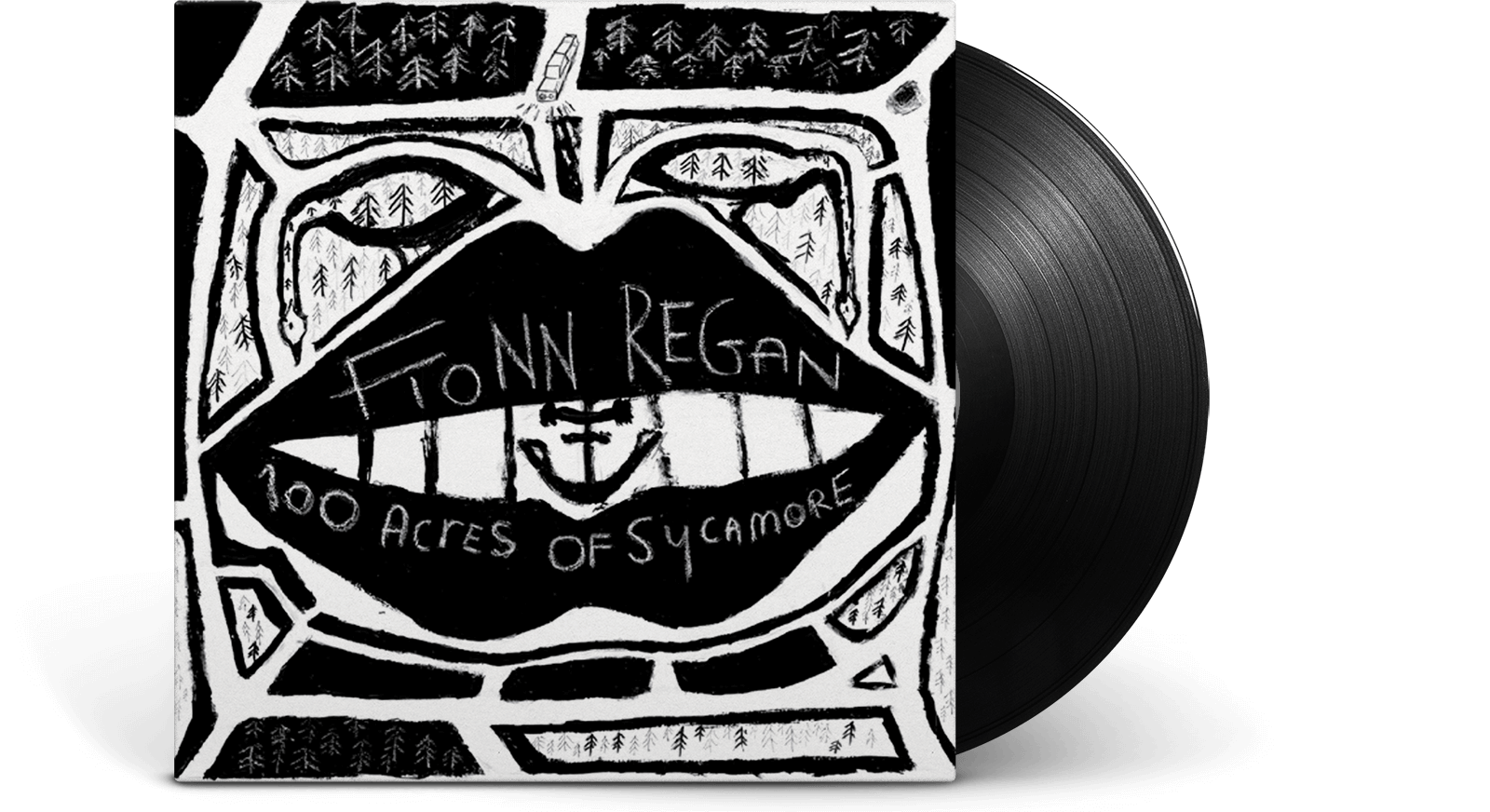 Vinyl - Fionn Regan : 100 Acres Of Sycamore - The Record Hub