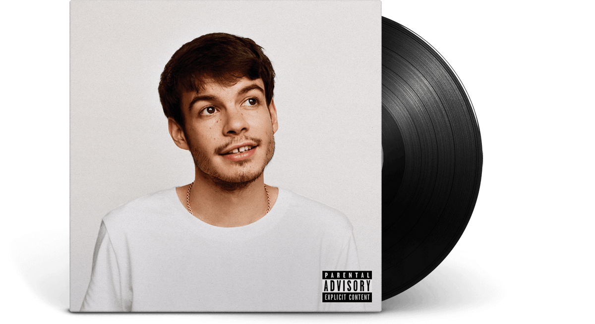 Vinyl - Rex Orange County : Pony - The Record Hub