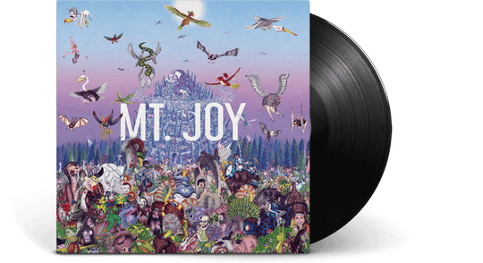 Mt. Joy : Rearrange Us