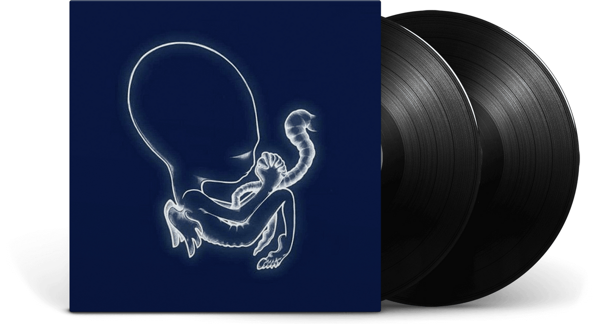 Vinyl - Sigur Rós : Ágætis byrjun - The Record Hub